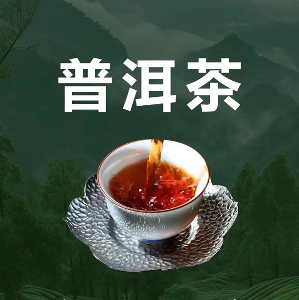 澜沧古茶产品图片dd